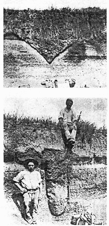 Ausgrabungen beim Bimsabbau im Jahre 1900
